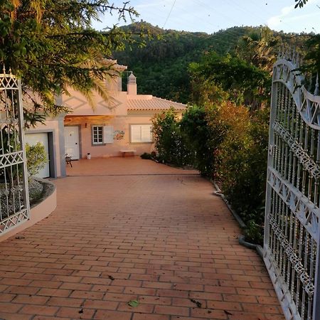 הוילה רסנדה Casa Loureiro - Vista Rio Douro מראה חיצוני תמונה