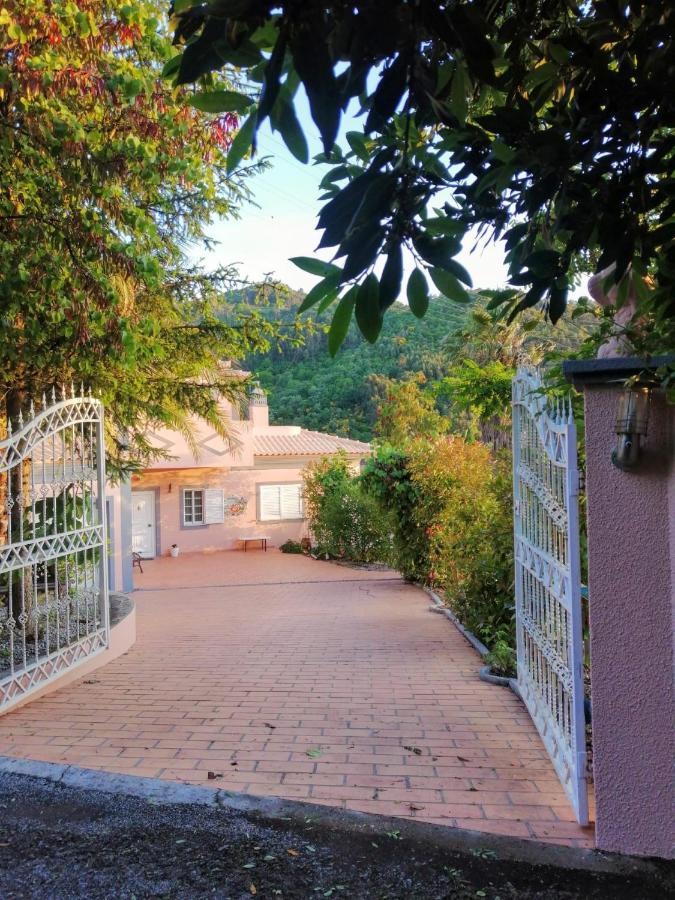 הוילה רסנדה Casa Loureiro - Vista Rio Douro מראה חיצוני תמונה
